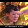 摇头摆尾有哪些生肖